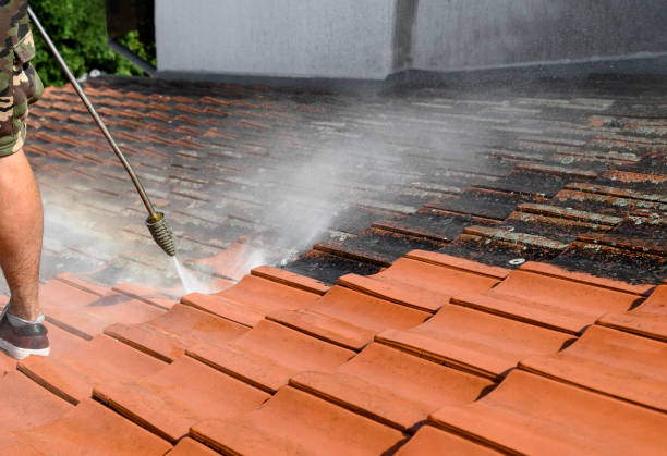 Best Local Pressure Washing Services  in Berwyn Heights, MD