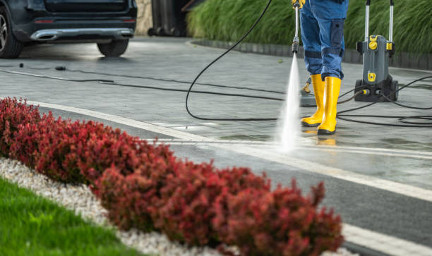 Best Exterior Home Cleaning  in Berwyn Heights, MD