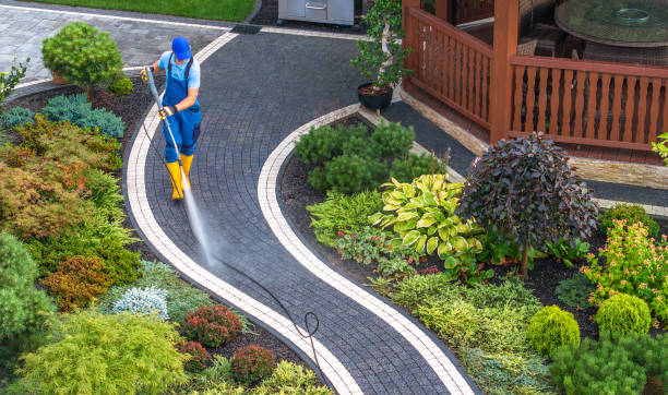 Best Roof Pressure Washing  in Berwyn Heights, MD